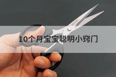 10个月宝宝聪明小窍门