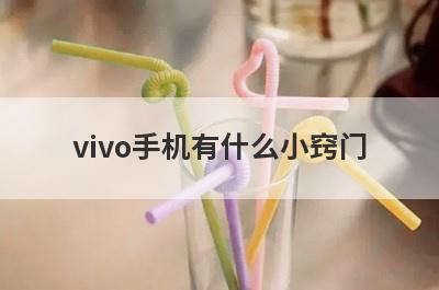 vivo手机有什么小窍门