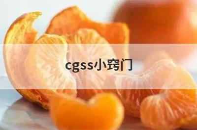 cgss小窍门