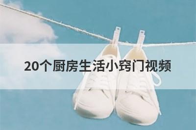20个厨房生活小窍门视频