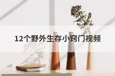 12个野外生存小窍门视频