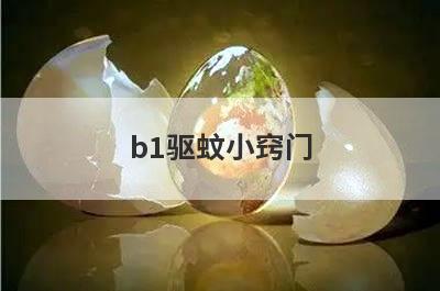 b1驱蚊小窍门