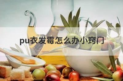 pu衣发霉怎么办小窍门