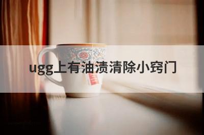 ugg上有油渍清除小窍门