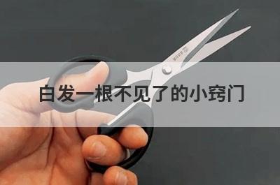 白发一根不见了的小窍门