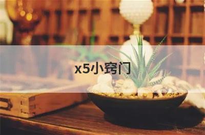 x5小窍门