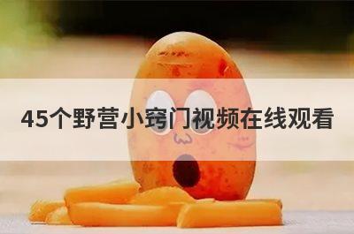 45个野营小窍门视频在线观看