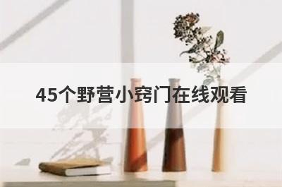 45个野营小窍门在线观看