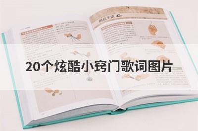 20个炫酷小窍门歌词图片