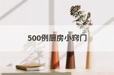 500例厨房小窍门