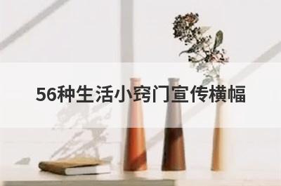 56种生活小窍门宣传横幅