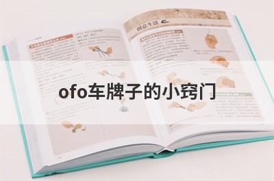 ofo车牌子的小窍门
