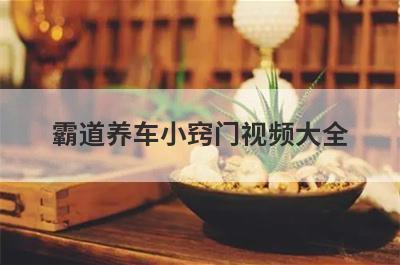 霸道养车小窍门视频大全