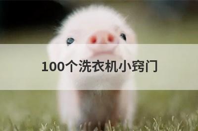 100个洗衣机小窍门