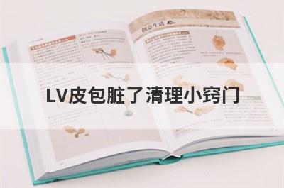 LV皮包脏了清理小窍门