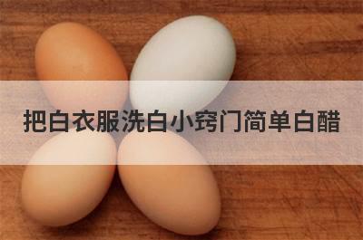 把白衣服洗白小窍门简单白醋