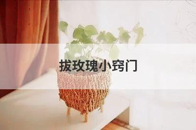 拔玫瑰小窍门