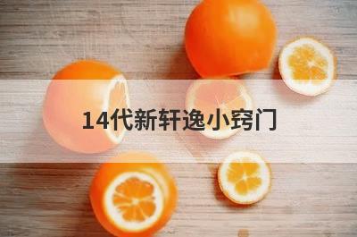 14代新轩逸小窍门