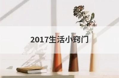 2017生活小窍门