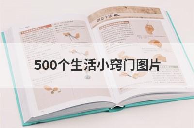500个生活小窍门图片