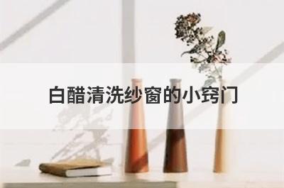 白醋清洗纱窗的小窍门