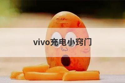 vivo充电小窍门