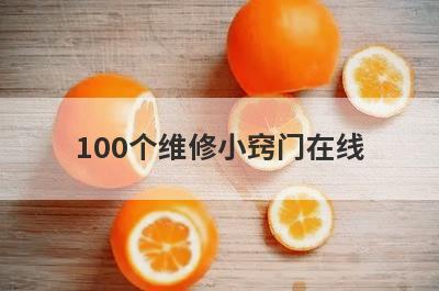 100个维修小窍门在线