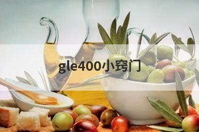 gle400小窍门