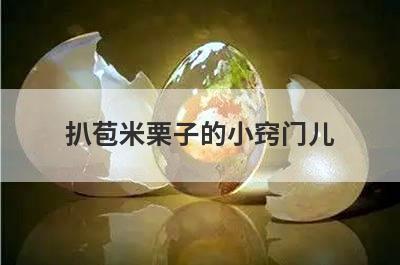 扒苞米栗子的小窍门儿