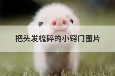把头发梳碎的小窍门图片