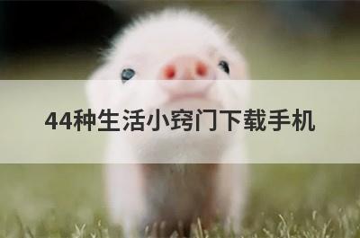 44种生活小窍门下载手机