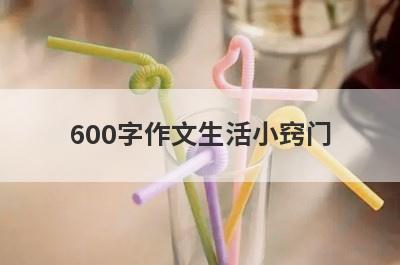600字作文生活小窍门