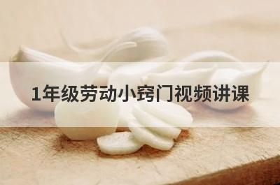 1年级劳动小窍门视频讲课