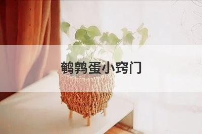 鹌鹑蛋小窍门