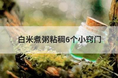 白米煮粥粘稠6个小窍门