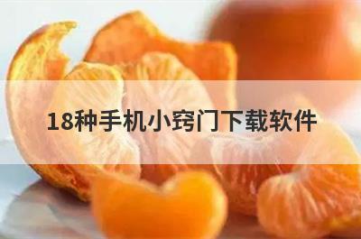 18种手机小窍门下载软件