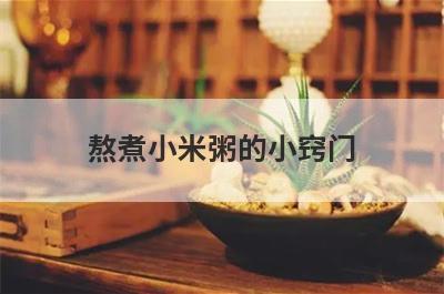 熬煮小米粥的小窍门