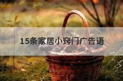 15条家居小窍门广告语