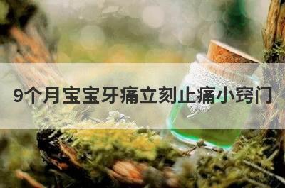 9个月宝宝牙痛立刻止痛小窍门