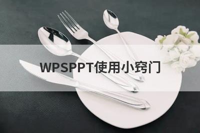 WPSPPT使用小窍门