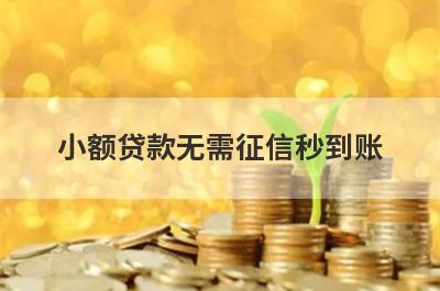 小额贷款无需征信秒到账 盘点5个征信双黑可以办的网贷