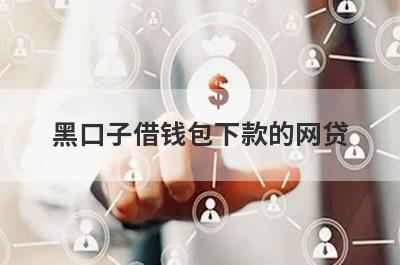 黑口子借钱包下款的网贷 黑户逾期也能借钱的平台