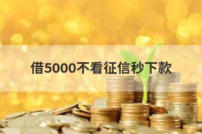 借5000不看征信秒下款 盘点5个不审核直接放款5000不看征信
