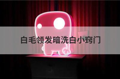 白毛领发暗洗白小窍门
