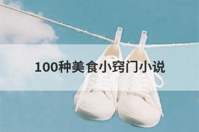 100种美食小窍门小说