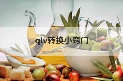 qlv转换小窍门
