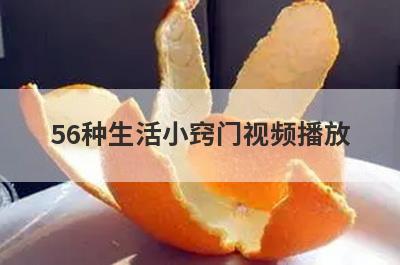 56种生活小窍门视频播放 56种生活小窍门视频播放
