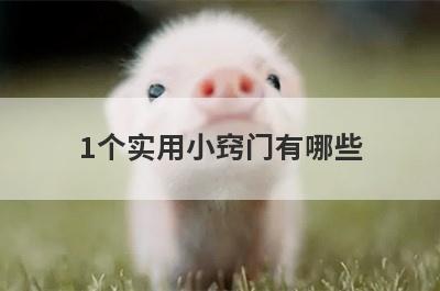 1个实用小窍门有哪些