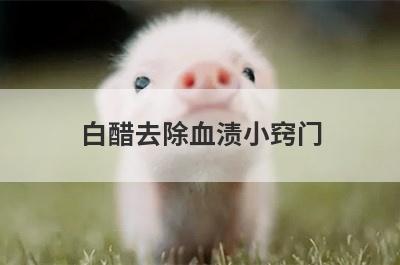 白醋去除血渍小窍门