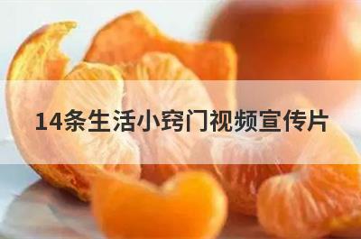 14条生活小窍门视频宣传片